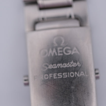 Omega Seamaster Professional Chronometer watch with metal band and logo